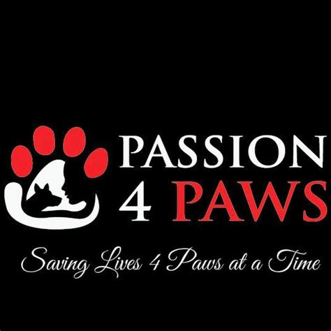 Passion 4 Paws Youtube
