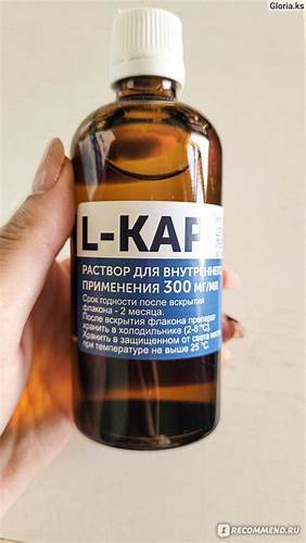 Поможет ли элькар похудеть Препарат для коррекции метаболических процессов L-КАР Элькар Препарат для коррекции метаболических процессов L-КАР Элькар Поможет ли элькар похудеть