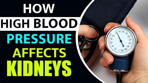 How High Blood Pressure Affects Kidney Kidney Treatment In India
