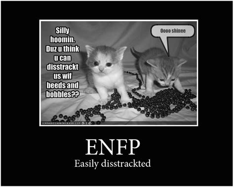 Whereisnovembers Image Enfp Personality Enfp Enfp And Infj