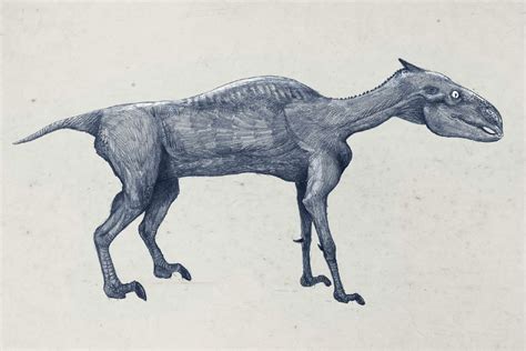 Bad Paleontology Album On Imgur Animals Animal