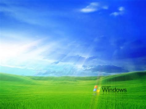Relive The Nostalgia Of Windows Xp Green Field Background In Various