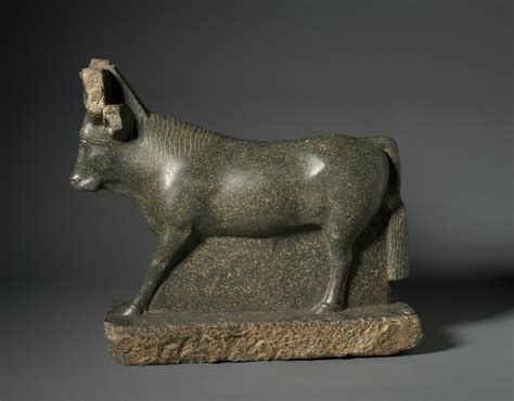 Apis Bull Egypt Greco Roman Period 332 Bce 395 Ce Ptolemaic Dynasty 305 30 Bce Cleveland