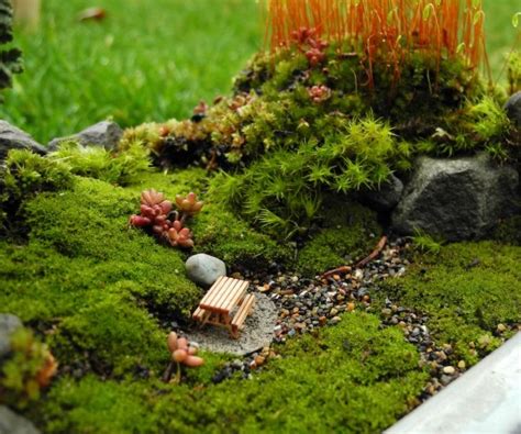 15 Great Moss Gardening Ideas And Easy Moss Garden Guide Foter