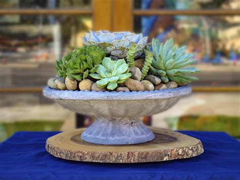 Each product is hand crafted, and are one of a kind creations. Succulent Paradise In A Concrete Planter (SF 40) in ...