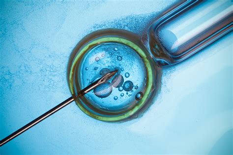 Icsi Intracytoplasmic Sperm Injection Llu Center For Fertility