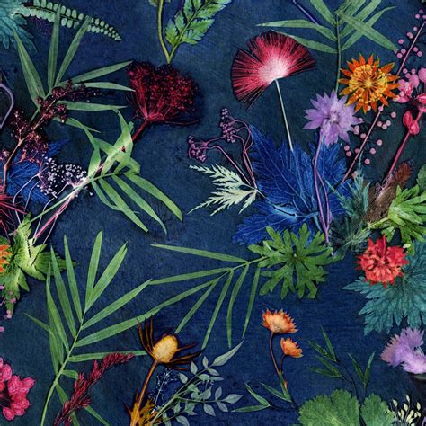 Statement Wallpaper For Interior Decor Bold Tropical By Gillian Arnold