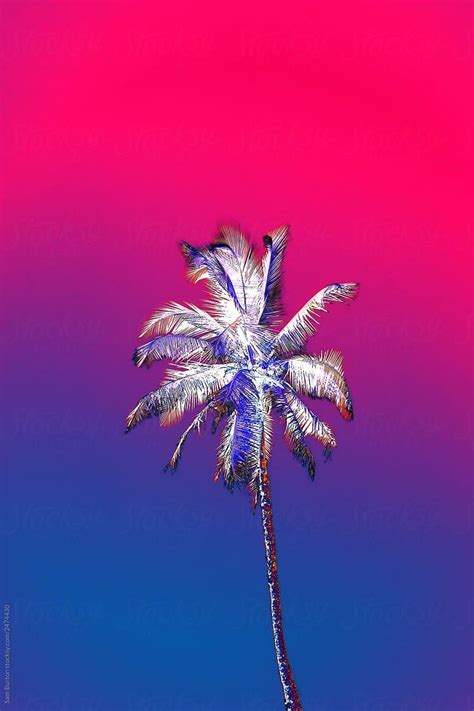 Glitch Effect Glitch Art Neon Palm Tree Palm Trees Tree