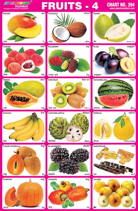 Spectrum Educational Charts Chart 394 Fruits 4