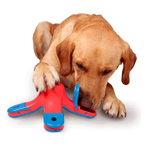 Acana, kong, greenies, orijen, ruffwear, stella & chewy's 2018 New Plastic dog toys pet treasure hunting puzzle toy ...