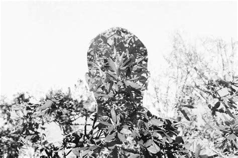 รูปภาพ ต้นไม้ หิมะ ฤดูหนาว ดำและขาว ถ่ายภาพขาวดำ 6000x4000