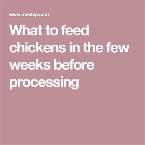 Login To Meetup Meetup What To Feed Chickens Meetup Feeding