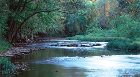 Streams and Rivers - Great Missouri Birding Trail