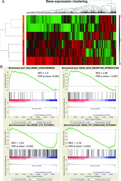 Gene Expression Profiling Of IPS11 TP53R175H Model Systems Global Gene