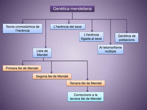 Biologia Pau Genètica I Reproducció Genètica Mendeliana Cat Ppt