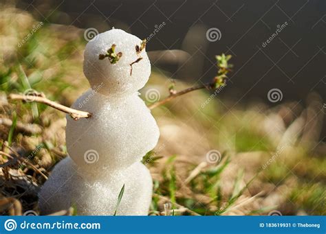 Snowman On The Grass Made From The Last Snow In Early Summer Stock