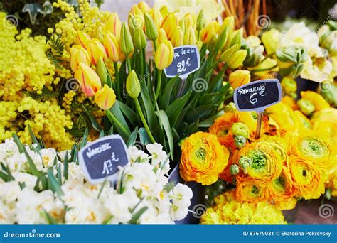 Outdoor Flower Market In Paris France Stock Image Image Of Parisian