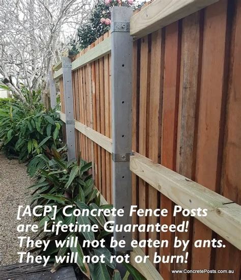 Acp Garden Concrete Fence Posts Australian Concrete Posts Pty Ltd