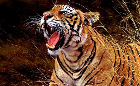 Gambar Harimau Terbaru | Kumpulan Gambar