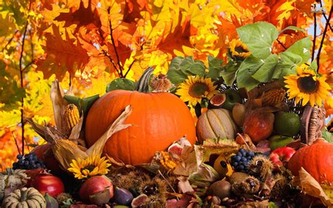 Fall Pumpkin Wallpaper 51 Images