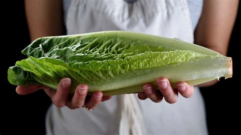 E Coli Deaths Linked To Romaine Lettuce Officials Say The New York