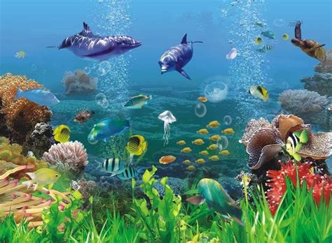 Pemandangan Gambar Hidupan Laut Kartun Berwarna Banyak Ikan