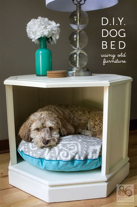 24 Creative Diy Ideas For Pet Beds And Feeders