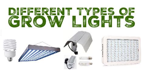 Pl lighting grow lights systems. Different Types of Grow Lights For Hydroponic Gardens ...