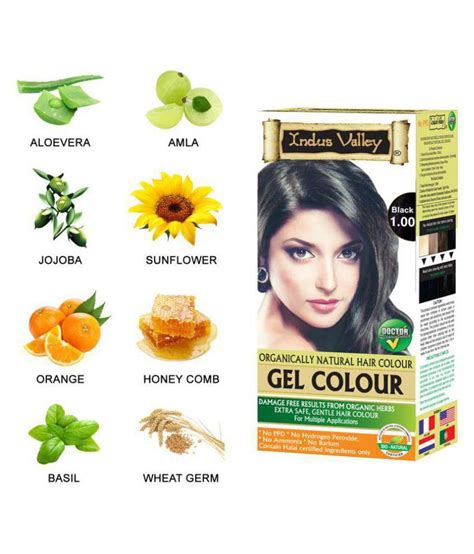 Indus Valley Gel Black Hair Color With Shampoo And Hair Spa Mask For