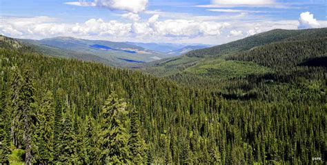 Idaho Panhandle National Forests The Sights And Sites Of America