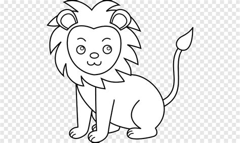white lion black and white cute pics of lions white mammal png pngegg