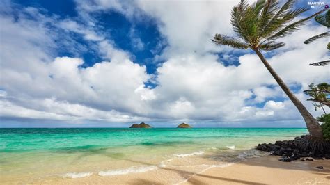 Beaches Aloha State Hawaje Palms Clouds Sea Maui Island
