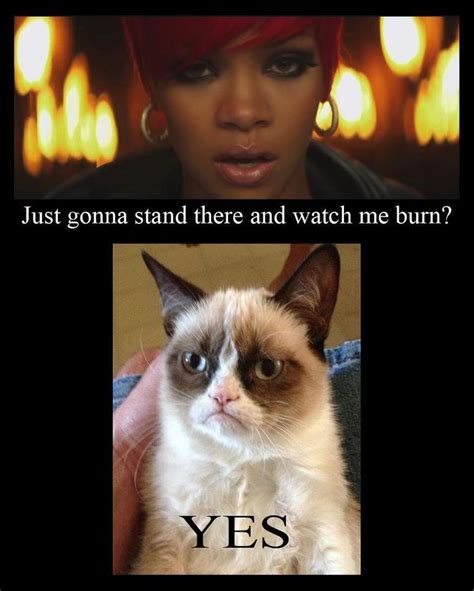 Grumpy Cat And Rihanna Funny Grumpy Cat Memes Grumpy Cat Meme Grumpy Cat