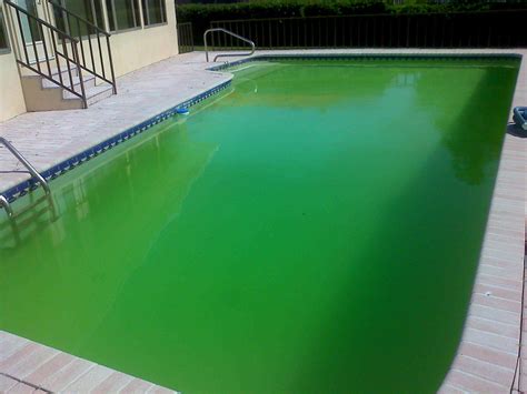 How To Use Floccing Agent To Clean A Green And Cloudy Pool Green Pool