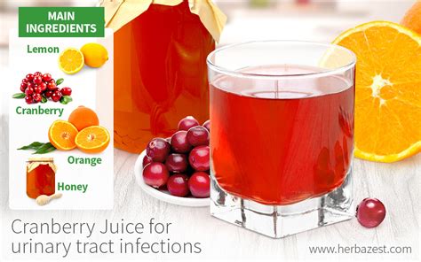 Cranberry Juice For Urinary Tract Infections Herbazest