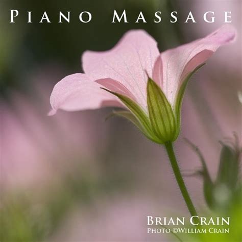 Piano Massage Music One Hour Music Digital Music