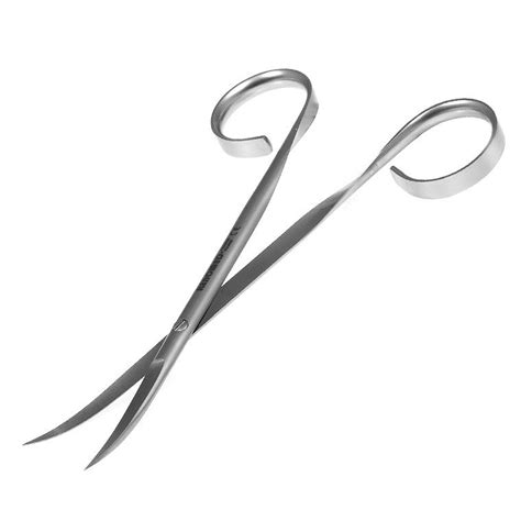 Scissors Renomed Curved 15cm Tools Vices Scissors