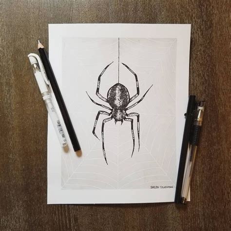 Original Spider Drawing Etsy Spider Drawing Animal Drawings