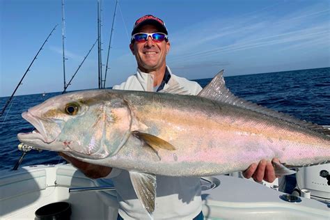Florida Amberjack Season 2023 Salty Knots Fishing Fishing Tips