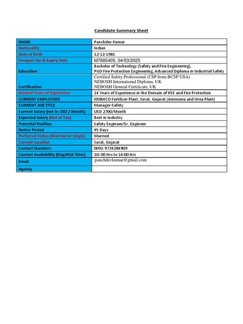 Candidate Summary Sheet Pdf