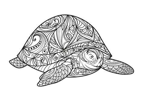 Big Turtle Turtles Adult Coloring Pages