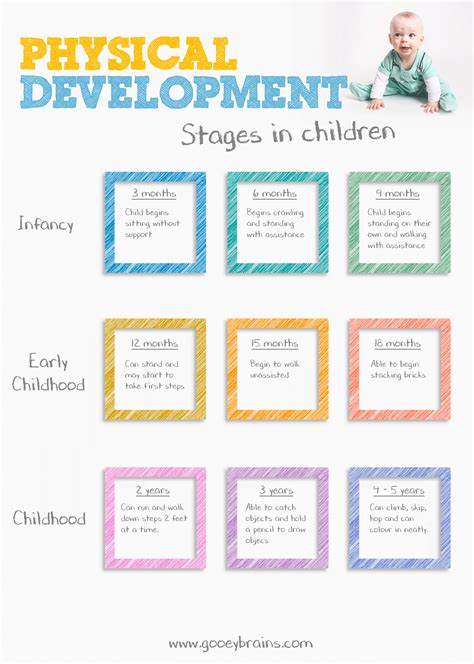 Physical Development In Early Childhood Connerkruwdaniels