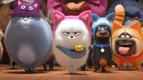 'The Secret Life of Pets 2' Review: Funny, Furry and Forgettable - The New York Times