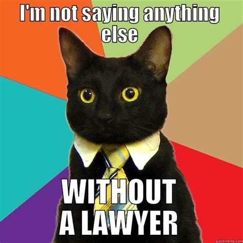 Busted Cat Lawyer Quickmeme
