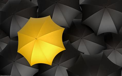 Yellow Umbrella And Black Hd Wallpaper Windows 8 Hd Wallpapers