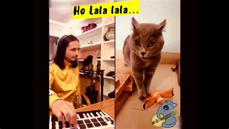 Tom Singing Cat Ohh Lala Lala Hey Luga Luga Youtube