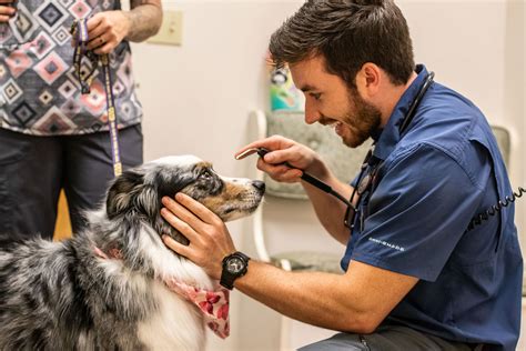 Small Animal Veterinary Care In Central Point Or Crater Animal Clinic