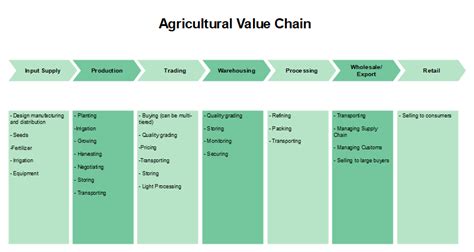 Free Editable Value Chain Examples Edrawmax Online The Best Porn