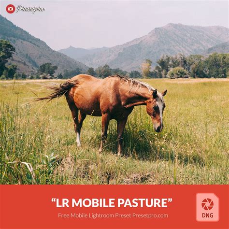 Download directly from freepsdvn's server. Free Mobile DNG Preset for Lightroom | Pasture - Presetpro.com