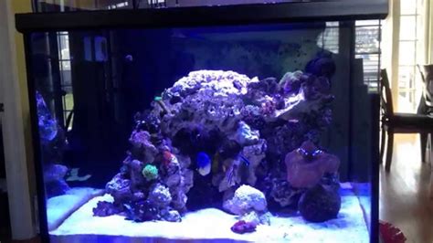 Aesthetics of aquascaping part ii reefs com. Reef tank 150 gallon cube - YouTube